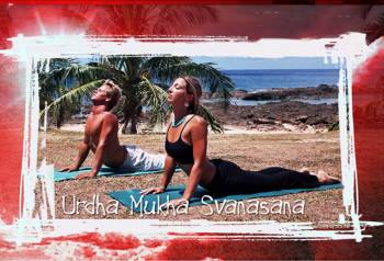 yoga_pilates_surfing_fitness_upward_dog